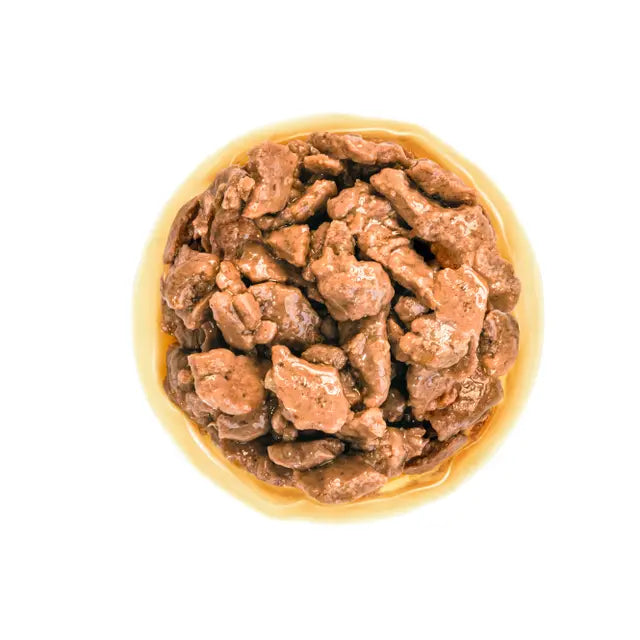 Royal Canin alimentazione cane adulto mini in salsa, contenuto visibile nella ciotola Royal Canin alimentazione cane adulto mini in salsa, contenuto visibile nella ciotola